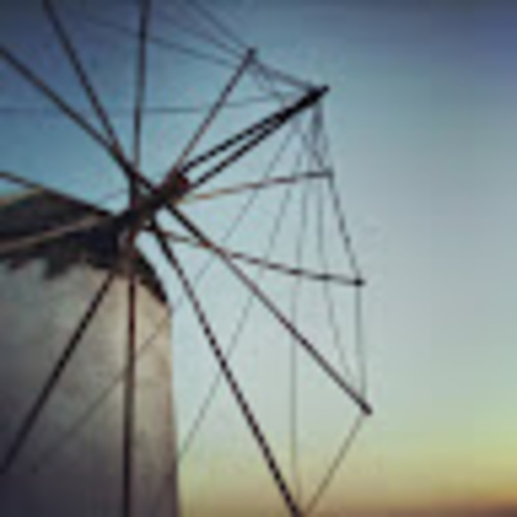 Meet your Posher, Taylor - Picture 1 of 1